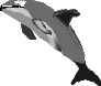 dolphin.gif